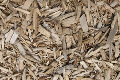 biomass boilers Park Wood